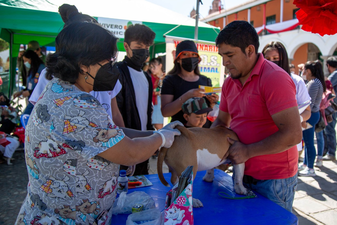 Por el Día Mundial del Perro realizan I Festival Canino